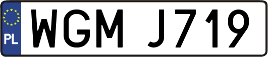 WGMJ719