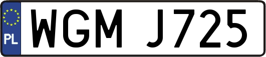 WGMJ725