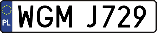 WGMJ729