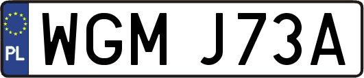 WGMJ73A