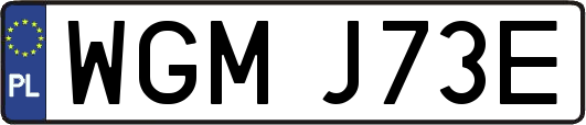 WGMJ73E