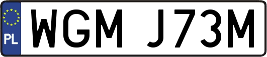 WGMJ73M