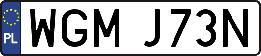 WGMJ73N