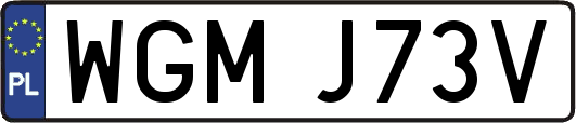 WGMJ73V