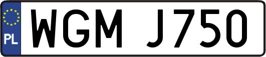 WGMJ750