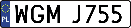 WGMJ755