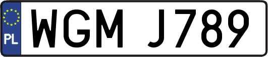 WGMJ789