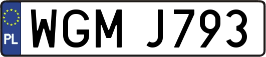 WGMJ793