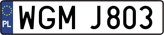 WGMJ803