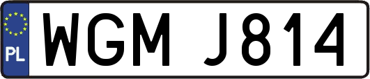 WGMJ814