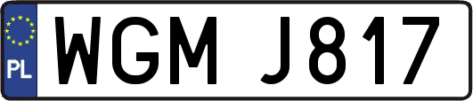 WGMJ817