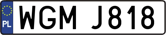 WGMJ818
