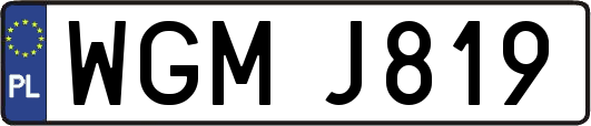 WGMJ819