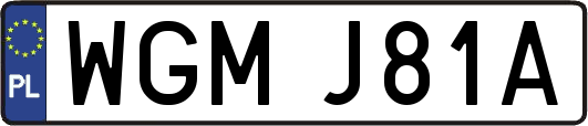 WGMJ81A