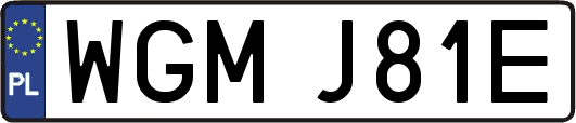 WGMJ81E