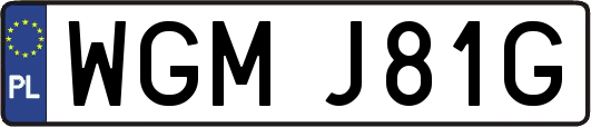 WGMJ81G