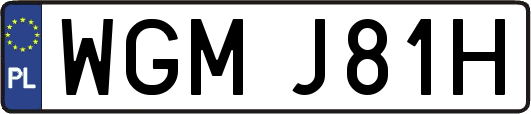 WGMJ81H