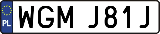 WGMJ81J
