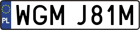 WGMJ81M