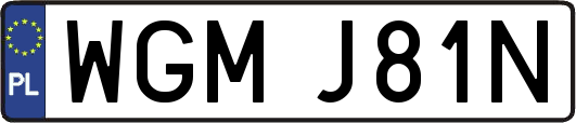 WGMJ81N
