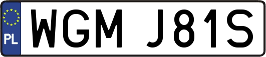 WGMJ81S