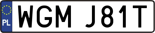 WGMJ81T
