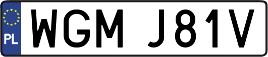 WGMJ81V