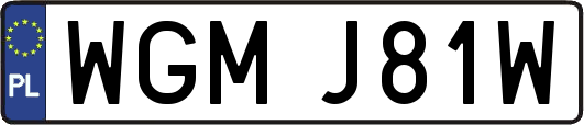 WGMJ81W