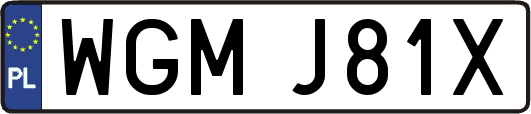 WGMJ81X