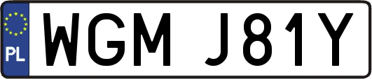 WGMJ81Y