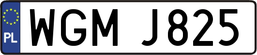 WGMJ825