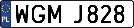 WGMJ828