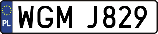 WGMJ829