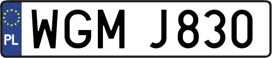 WGMJ830