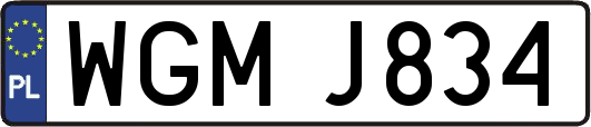 WGMJ834