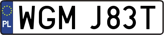 WGMJ83T