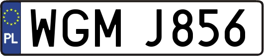 WGMJ856
