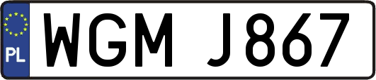 WGMJ867