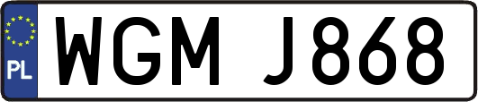 WGMJ868