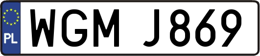 WGMJ869