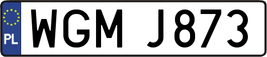 WGMJ873