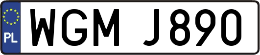 WGMJ890