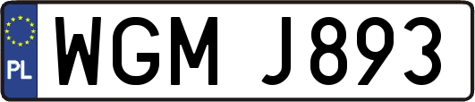 WGMJ893