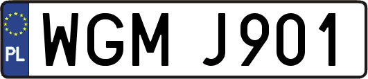 WGMJ901