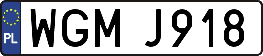 WGMJ918
