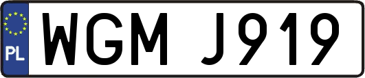 WGMJ919