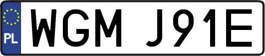 WGMJ91E
