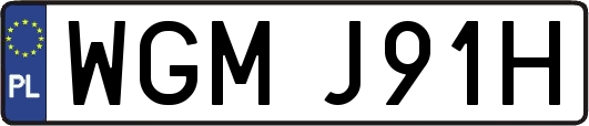 WGMJ91H