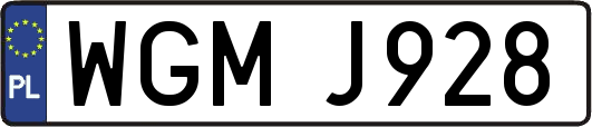 WGMJ928