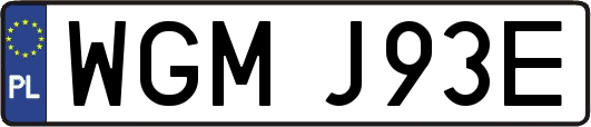 WGMJ93E